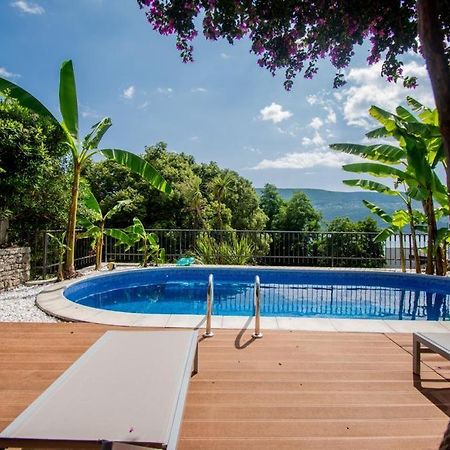 Vila Oliva Herceg Novi Extérieur photo